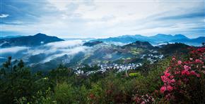 雨后坡山