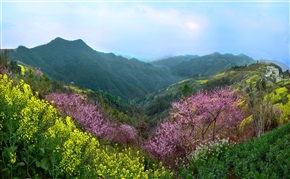 春暖花开