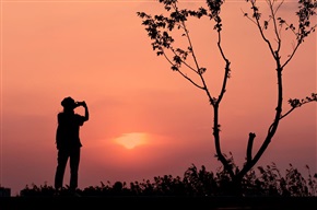 夕阳无限好