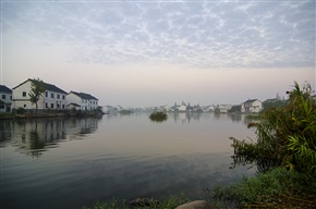 水乡姜里