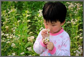 《闻花识香》