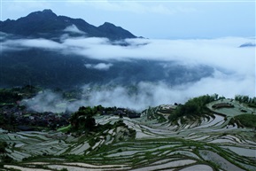 云和梯田