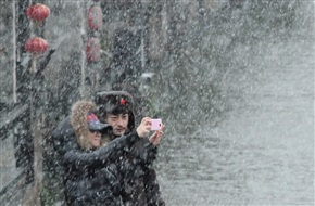 雪中情