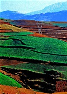 红土梯田