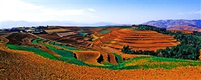 红土梯田