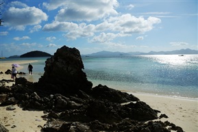 赶海