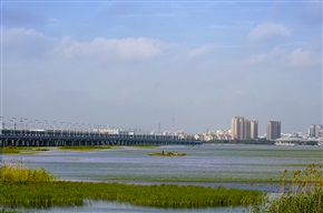 阳澄湖畔