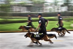 《身边的警察》