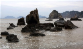 沉浮三