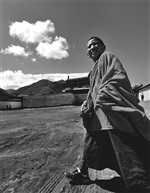 《圣地阳光》