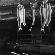 水乡的味道
