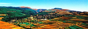 红土梯田