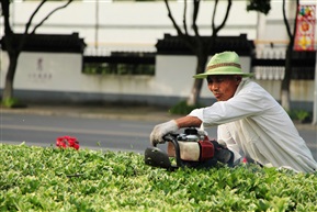 绿化理发师