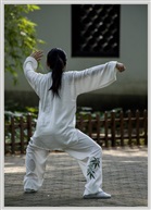 《变》之十八