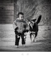 伙伴