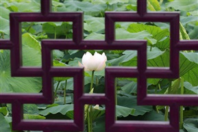 窗外