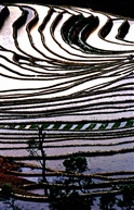 梯田风光