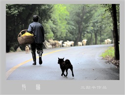 牧归