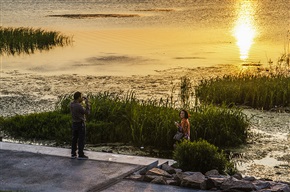 陪你一起看夕阳