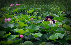 荷趣