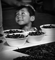 记忆