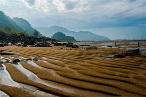 清晨小景