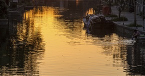 水乡的早晨