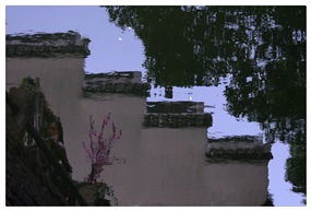《水中花》