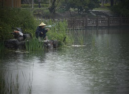 乐在雨中