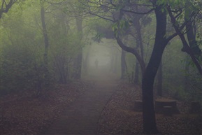 山雾