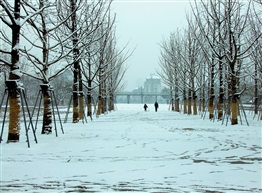雪迹
