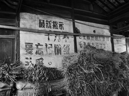 岁月的痕迹7