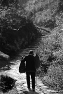 路与背影