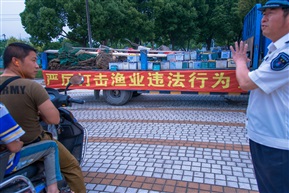 生命和谐未来