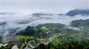 茗岙云海