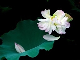 同舟共济