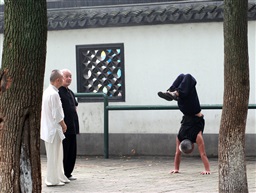 倒立
