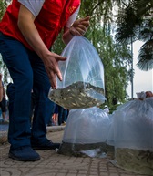 鱼苗放流