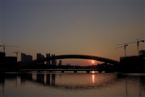 守望夕阳红