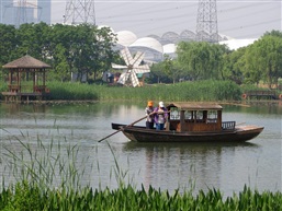 水乡游船之森林公园