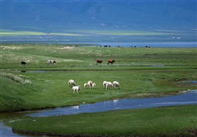 《青海风光》