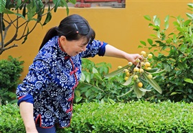 锦溪船娘三十三