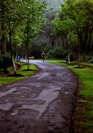 路
