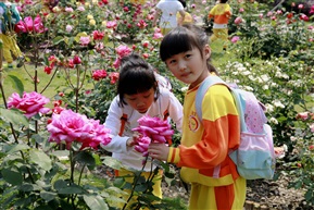 祖国花朵