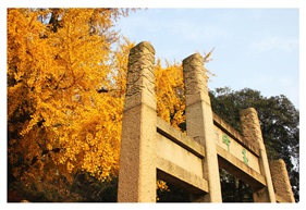 《玉峰之秋》