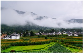《云雾山村》