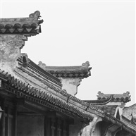 荡口标签组照2