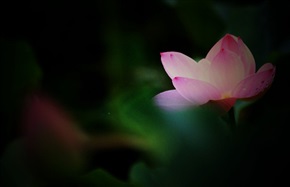 荷4