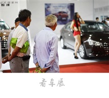看车展