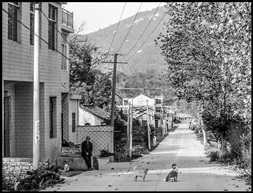 《山村公路》